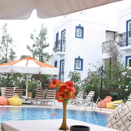 Almina Apartahotel 3*